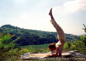Scorpion yoga position